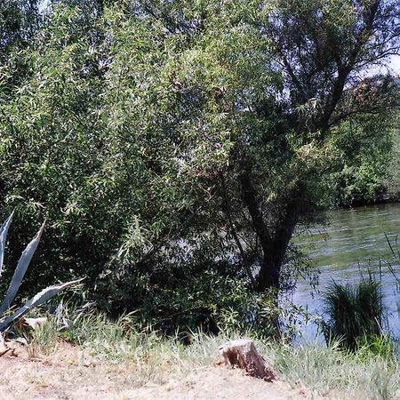 Sequoia Riverfront Cabins Three Rivers Exterior foto