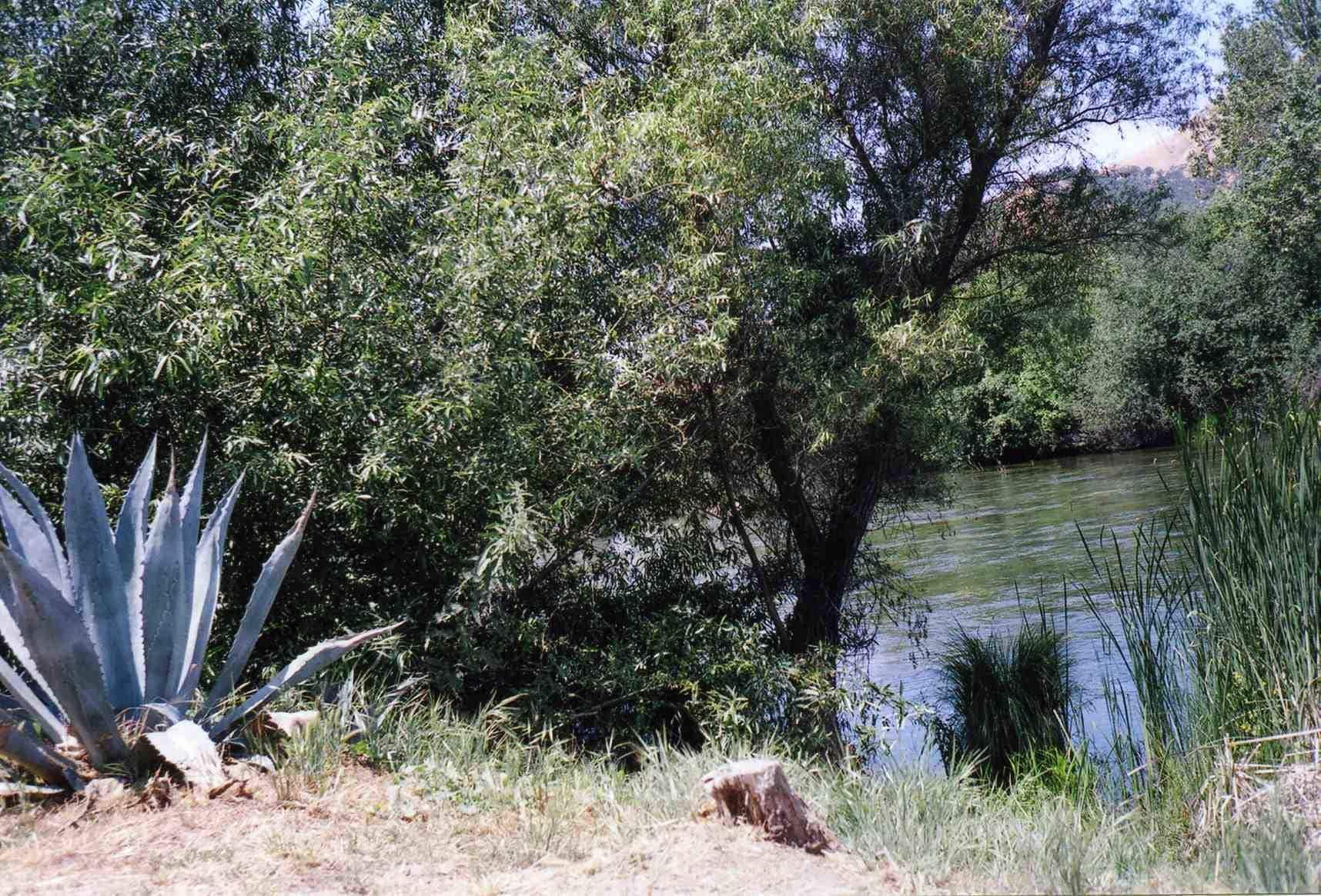 Sequoia Riverfront Cabins Three Rivers Exterior foto