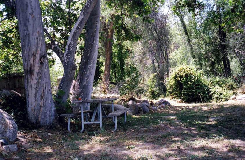 Sequoia Riverfront Cabins Three Rivers Zimmer foto